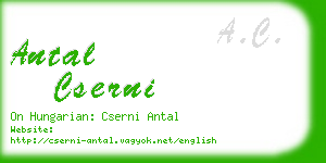 antal cserni business card